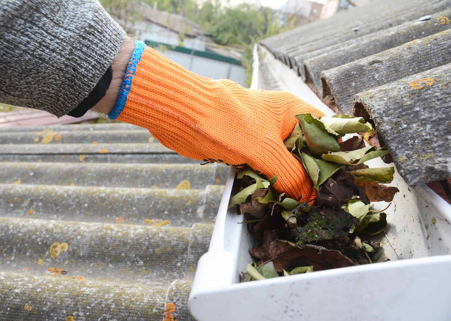 Gutter Cleaning image